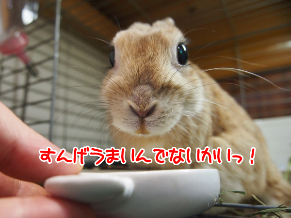 260205Blog7.jpg
