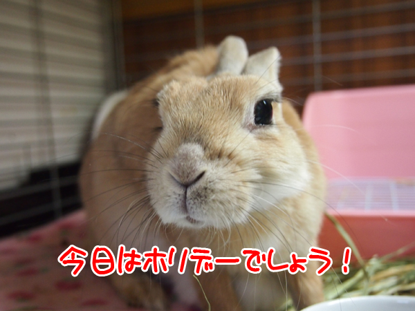 260211Blog3.jpg
