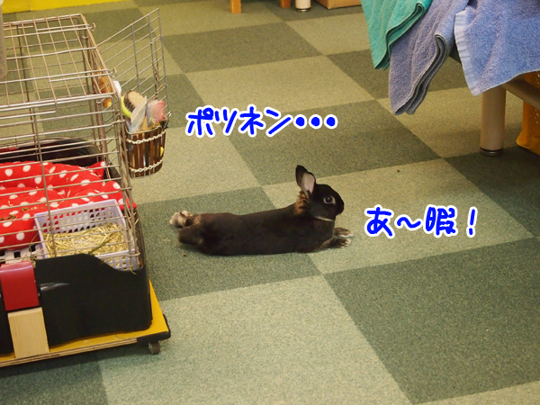 260212Blog1.jpg