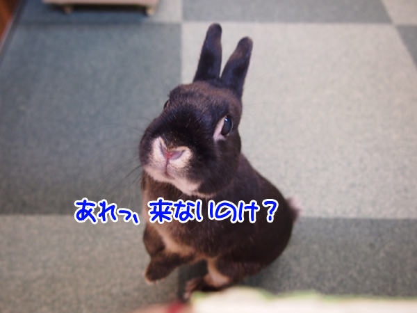260212Blog4.jpg