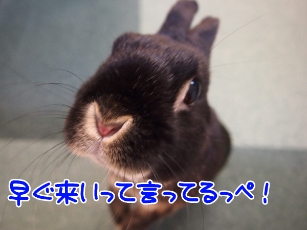 260212Blog6.jpg