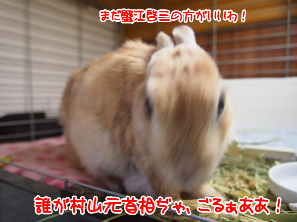 260214Blog7.jpg