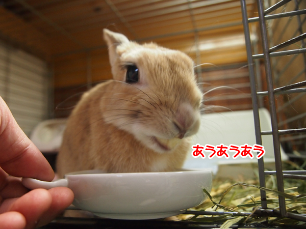 260216Blog5.jpg