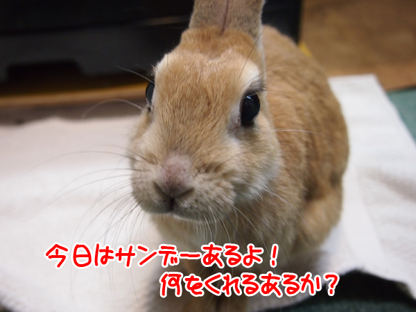 260223Blog4.jpg