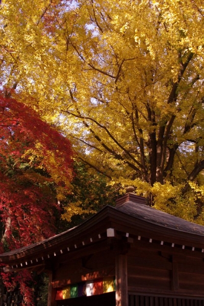 131125IMGP8092.jpg