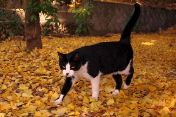 131125IMGP8112.jpg