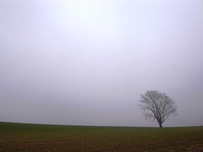 R0012534_convert_20111113094527.jpg