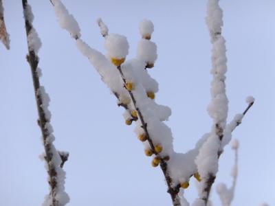 2011-2-5+018_convert_20140205074142.jpg