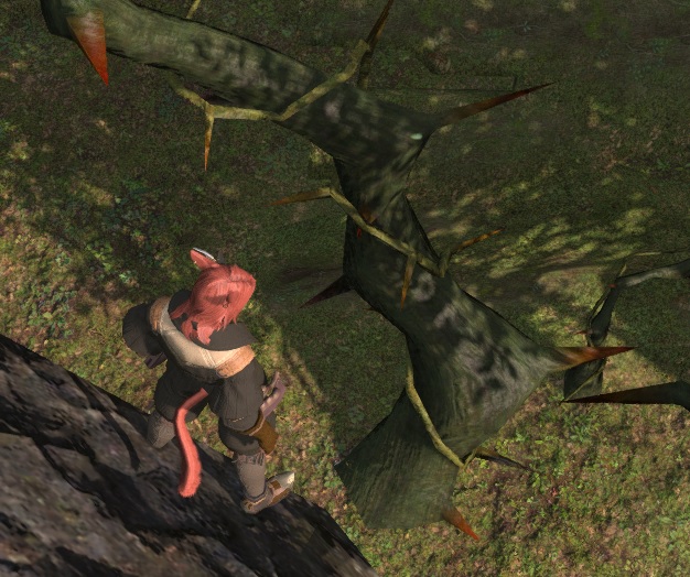 risuki.jpg