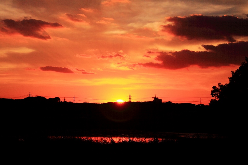 八ッ谷池の夕陽