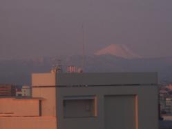 100_2979.jpg