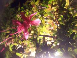 100_9562.jpg