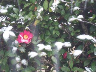 100_9574_229.jpg