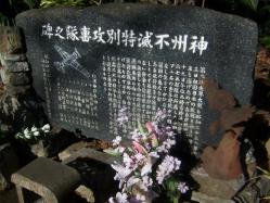s100_2934.jpg