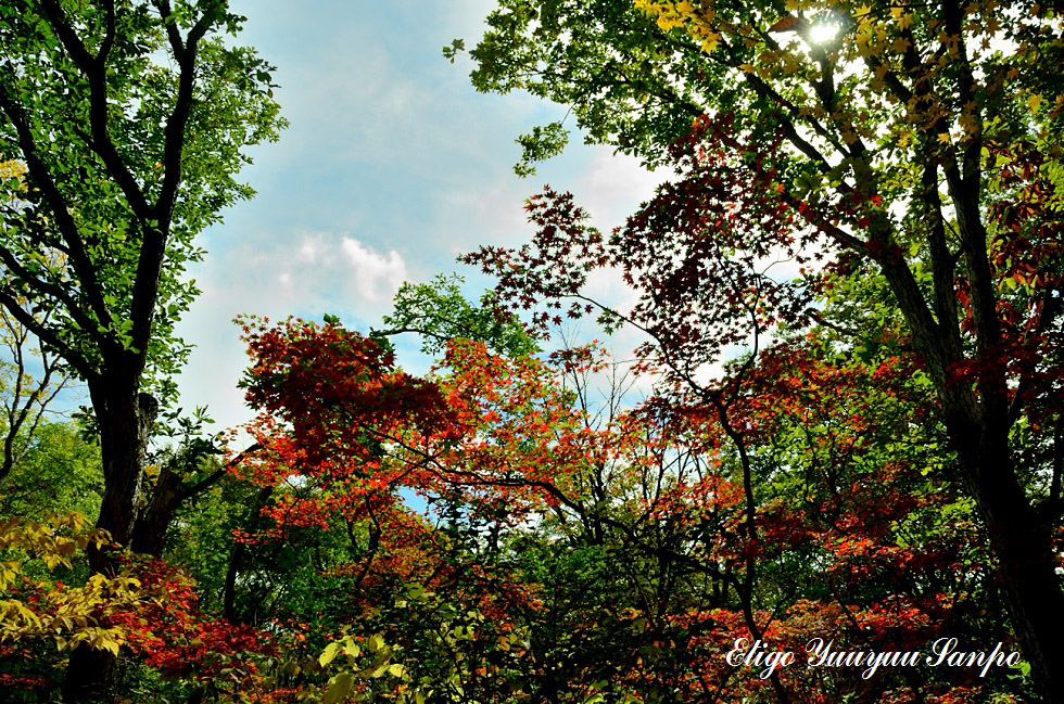 2014.10.06紅の始まり