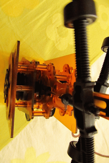 IMG_0063.gif