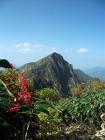 大源太山 012-1