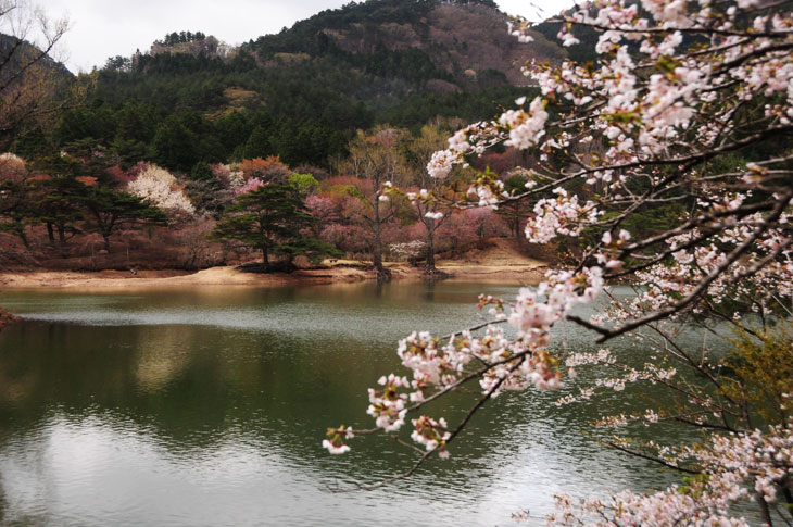 0430handa4.jpg