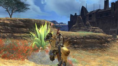 FFXIV_1317810841.jpg