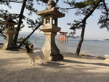 むぎむぎのお伴