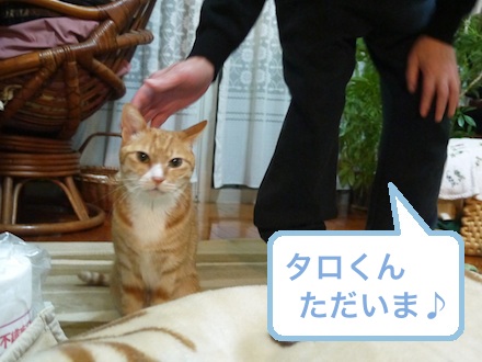 タロウ