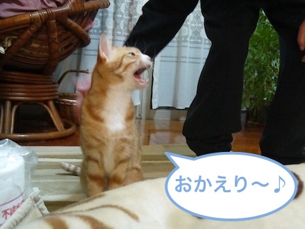 タロウ