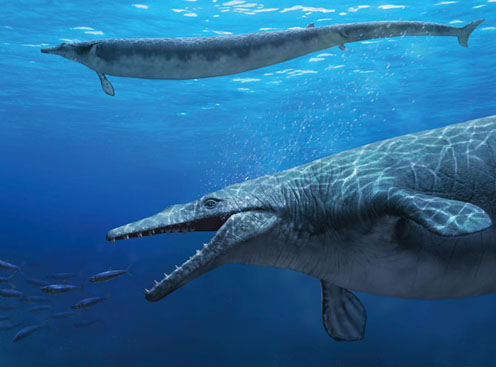 basilosaurus.jpg