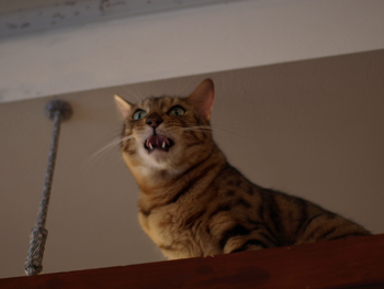 20110924-6.jpg